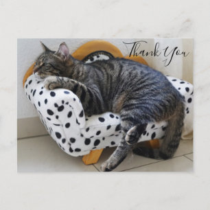 Cat on Fashionable Mini Sofa Thank You Postcard