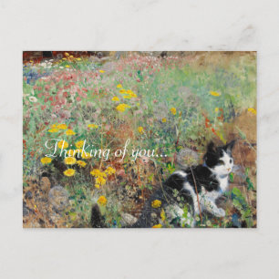 Cat on Flowerbed Postcard