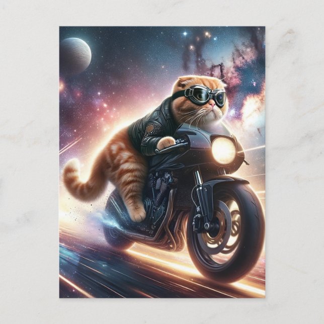 Cat on motorcycle  postcard (Front)