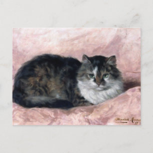 Cat on Pink Pillow by Henriëtte Ronner-Knip Postcard