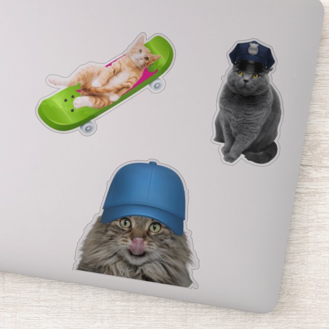 Cat On Skateboard (Detail)