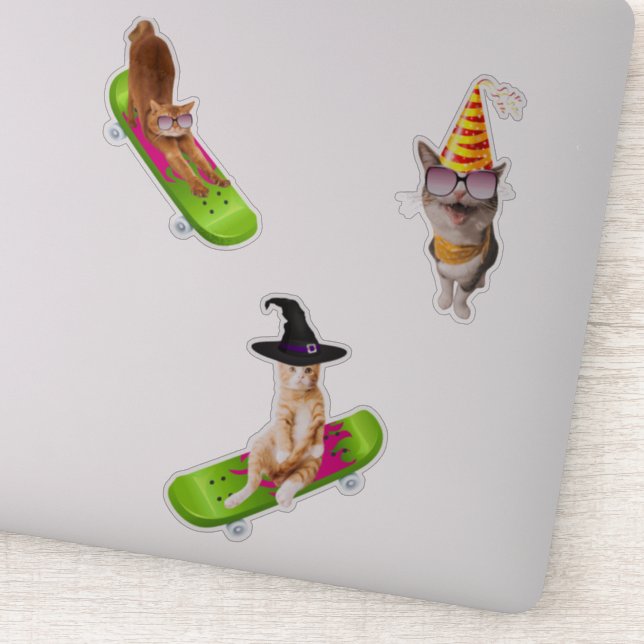 Cat On Skateboard (Detail)