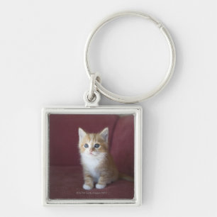 Cat on sofa key ring