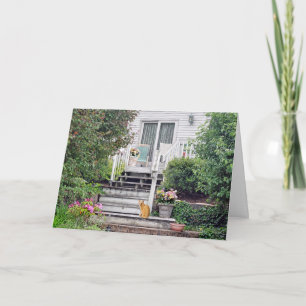 cat on steps card