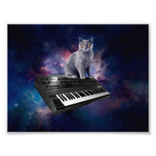 Cat on synthesizer in space photo print