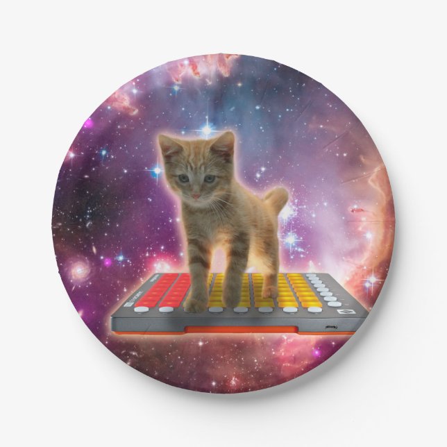Cat on synthesizers in space paper plate (Front)