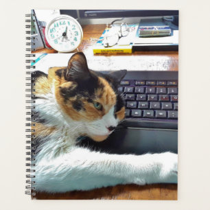 Cat on the Keyboard Planner