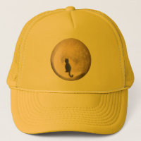 cat on the moon