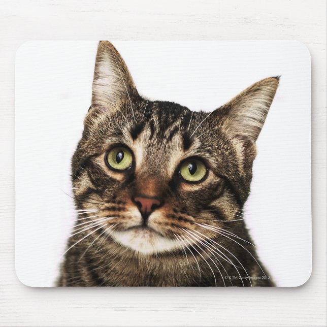 Cat on white background 2 mouse pad (Front)