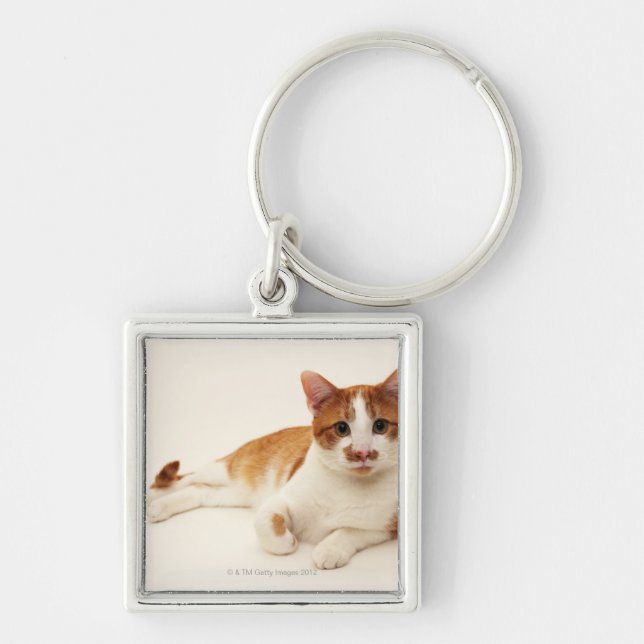 Cat on white background key ring (Front)