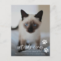 Cat or Kitten Adoption Photo Card, Introducing Pet