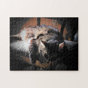Cat or your photo jigsaw puzzle