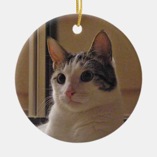 Cat ornament (Front)