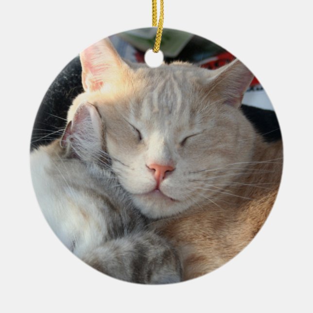 Cat Ornament (Front)