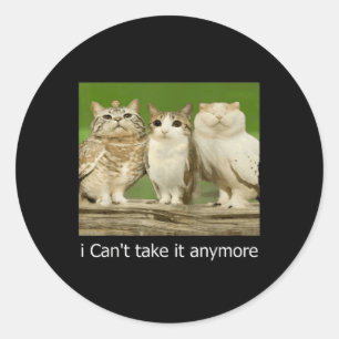 Cat Owl Funny Meow I Cant Take It Anymore Classic Round Sticker