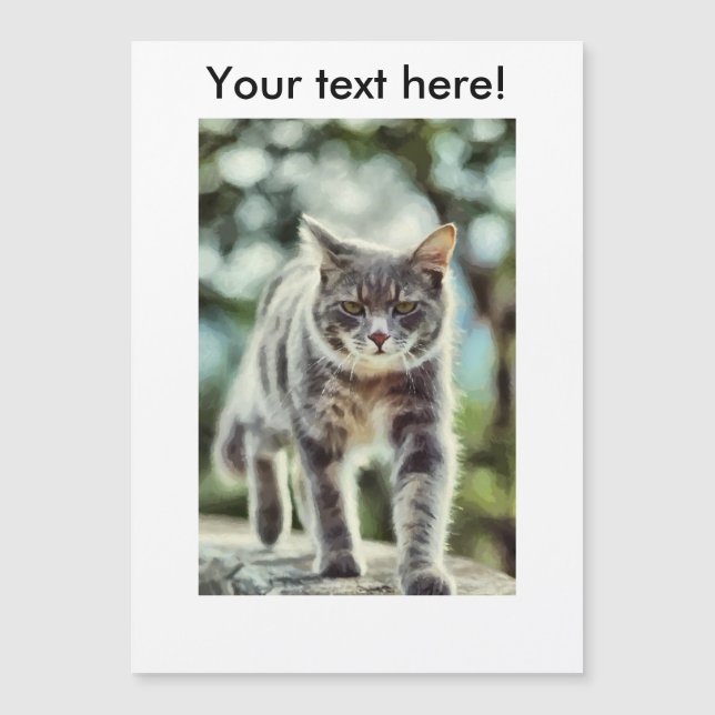 Cat painting (Front)