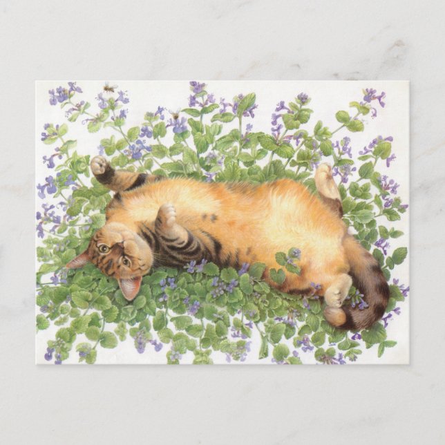 CAT PAINTING  POSTCARD (Front)