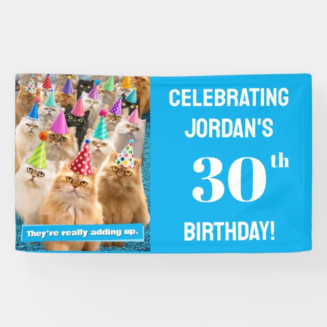Cat Party Banner (Horizontal)