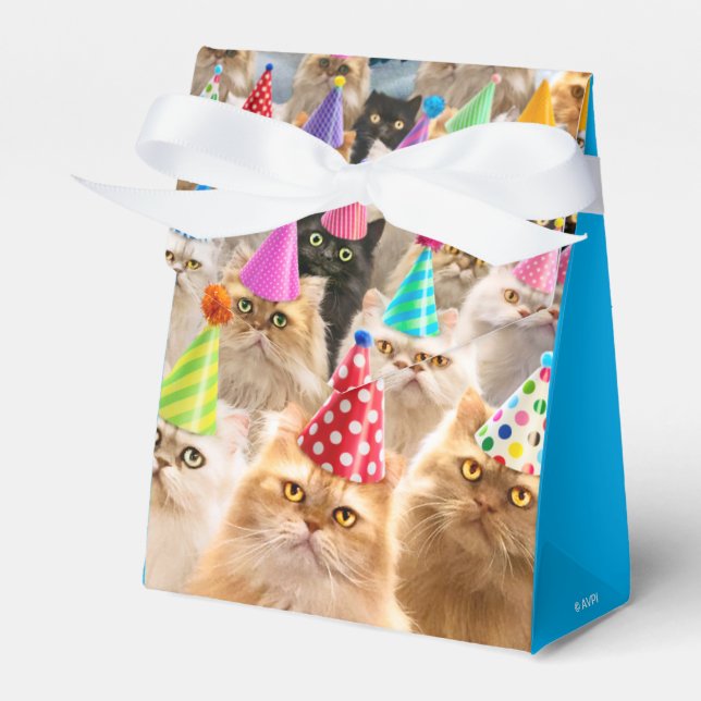 Cat Party Favour Box (Front Side)
