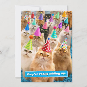 Cat Party Invitation