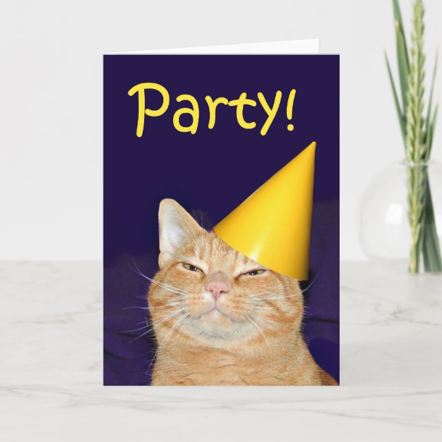 Cat party invitation (Front)