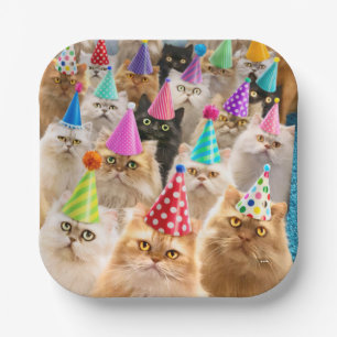 Cat Party Paper Plate