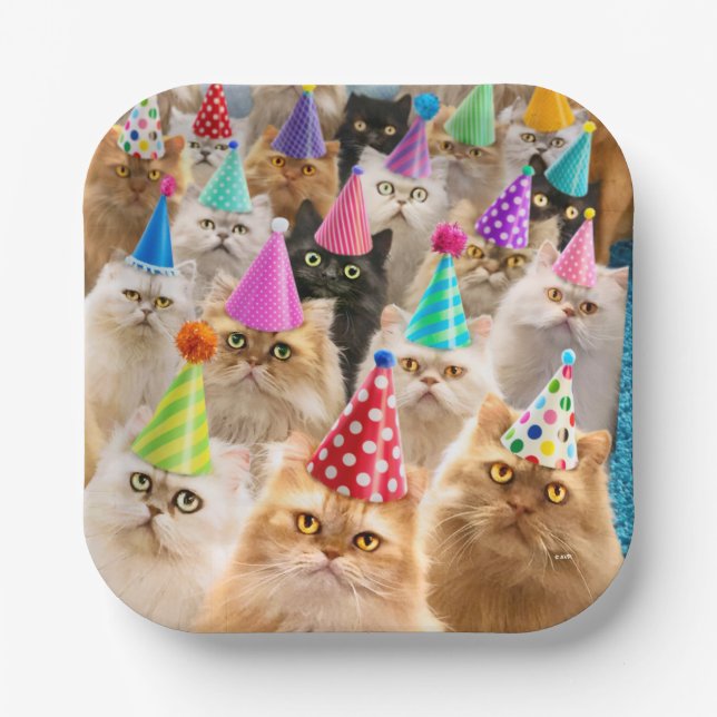 Cat Party Paper Plate (Front)