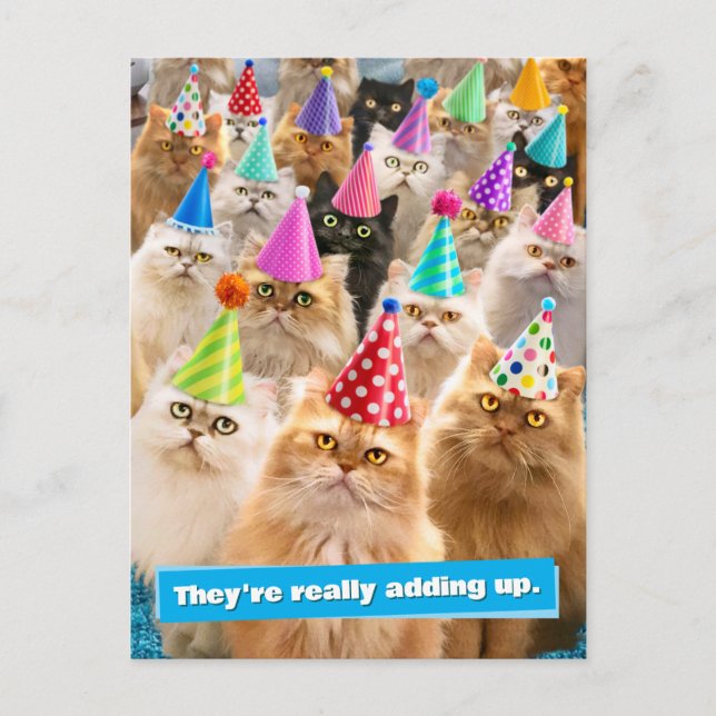Cat Party Postcard (Front)