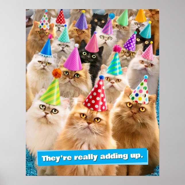 Cat Party Poster (Front)