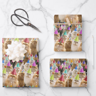 Cat Party Wrapping Paper Sheet