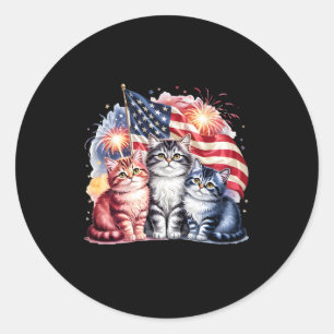 Cat Patriotic America Cats Usa Flag Fireworks 4th  Classic Round Sticker