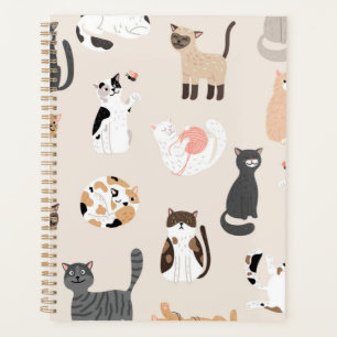 Cat pattern planner