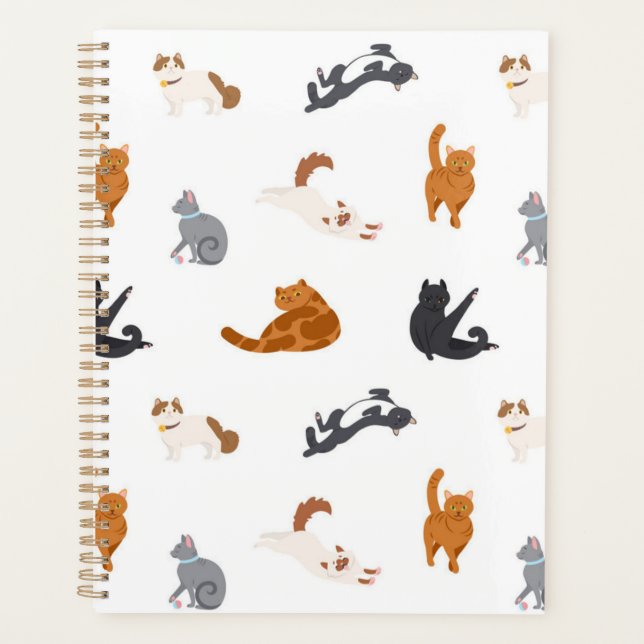 Cat pattern planner (Front)