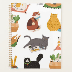 Cat pattern planner