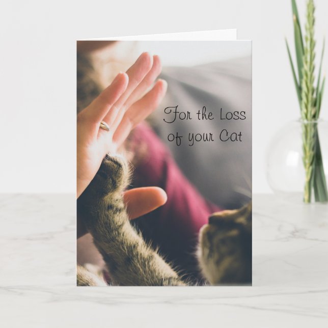 Cat Paw Giving High-five Card (Front)