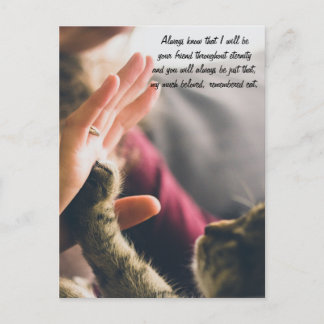 Cat Paw High-five Postcard