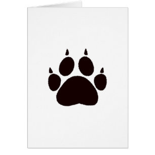 Cat Paw Prints