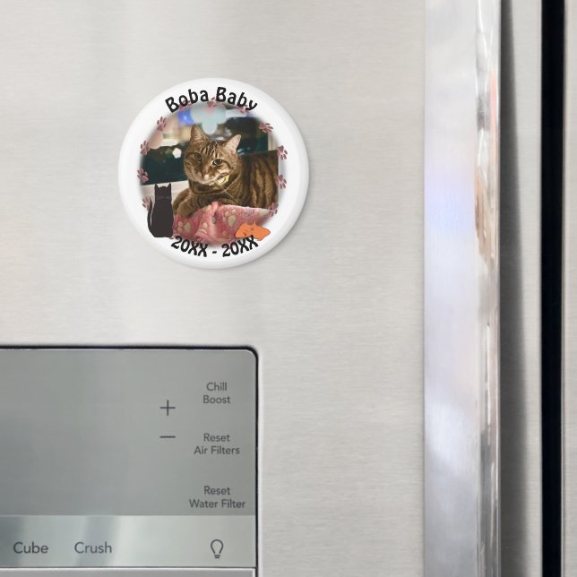 Cat Paw Prints Photo Magnet (In Situ (Fridge))
