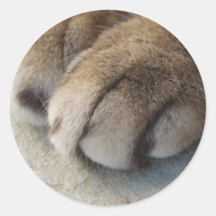 Cat Paw Stickers