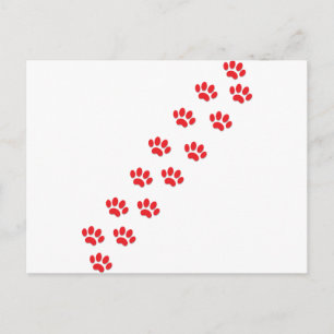 Cat Paws Postcard