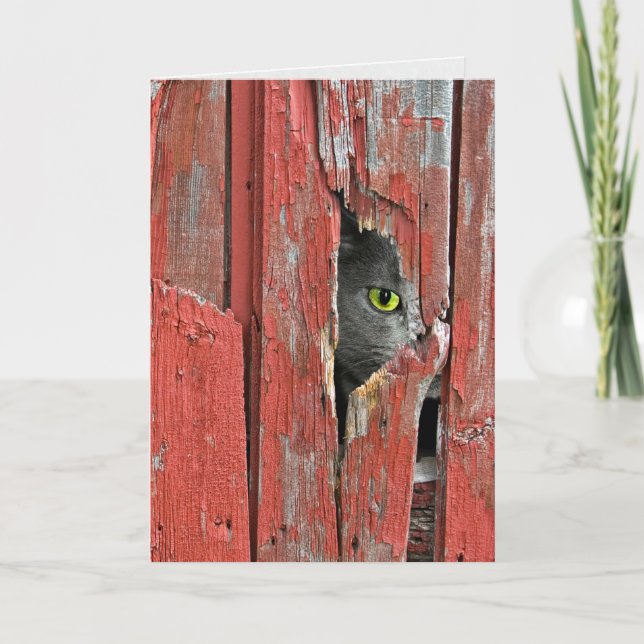 Cat peeking in barn wood hole card (Front)