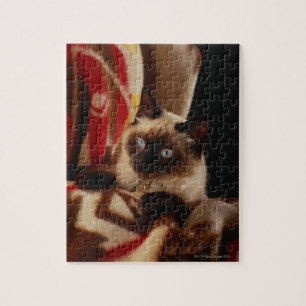 Cat peeking through quilt jigsaw puzzle