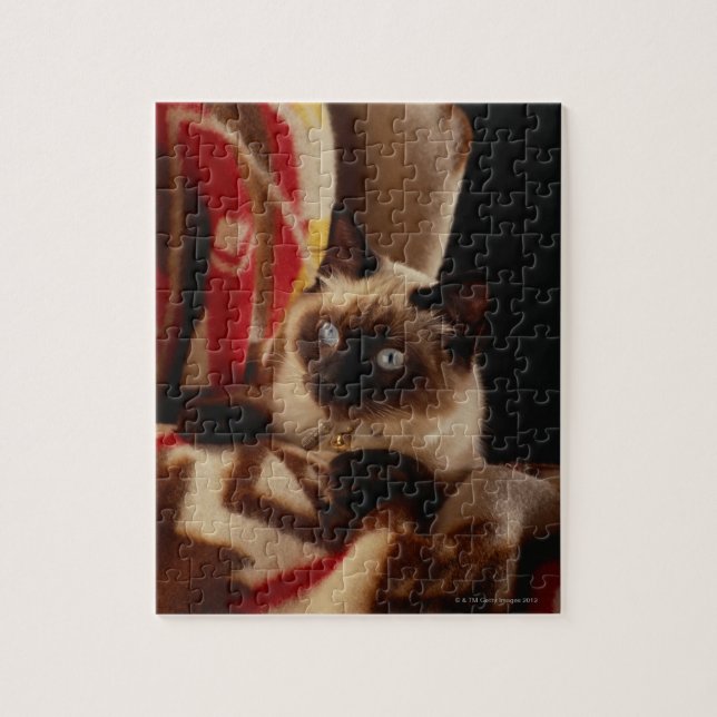 Cat peeking through quilt jigsaw puzzle (Vertical)