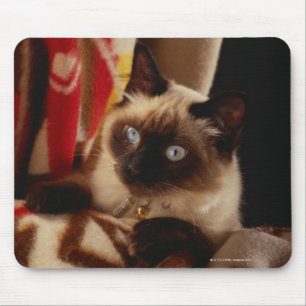 Cat peeking through quilt mouse pad
