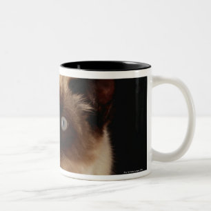 Cat peeking through quilt Two-Tone coffee mug
