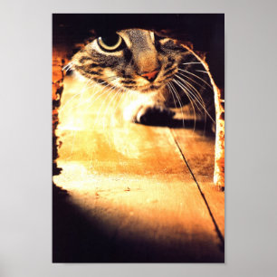 Cat Peering Into Mouse Hole Poster