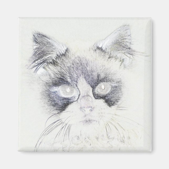 Cat pencil sketch magnet (Front)
