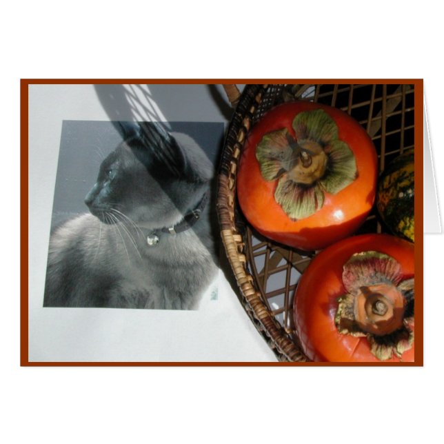 Cat & Persimmons (Front Horizontal)
