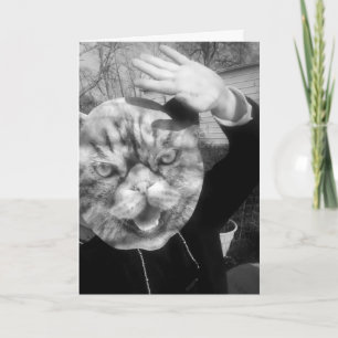 CAT PERSON FUNNY BIRTHDAY GREETING CARDS