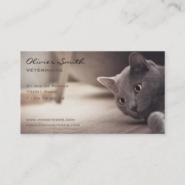 Cat, pet beautiful business card (Front)